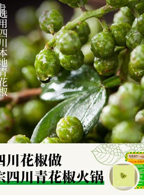 青花椒锅底料CVG 小卓腾椒四川正宗重庆火料独份 小立包装一人 藤