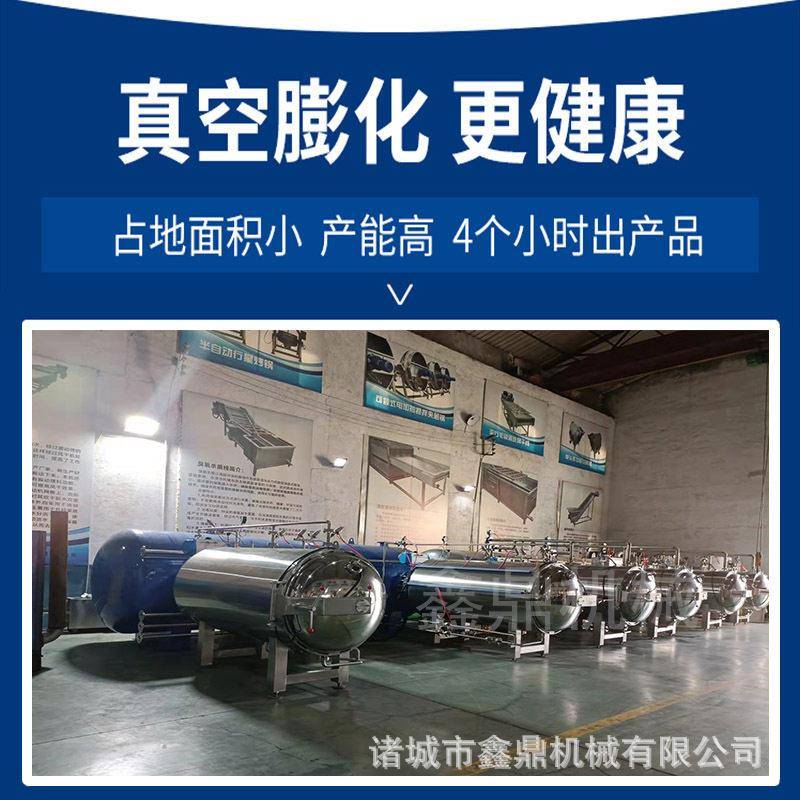 非油炸果蔬脆片加工设备苹果脆片变温压差膨化机脆枣加工机器