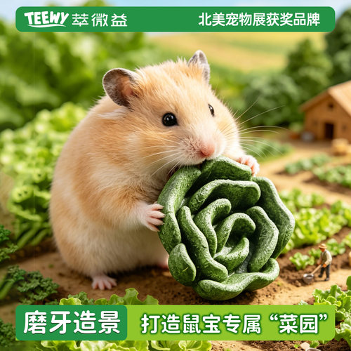 萃微益仓鼠磨牙啃咬玩具造景
