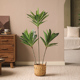 巴西铁绿植造景装 饰大型假树仿真树仿真室内客厅落地