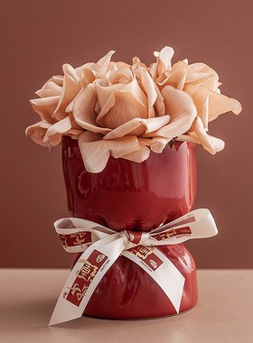 创意红色陶瓷瓶水培干鲜插瓶客厅桌面玄关装饰