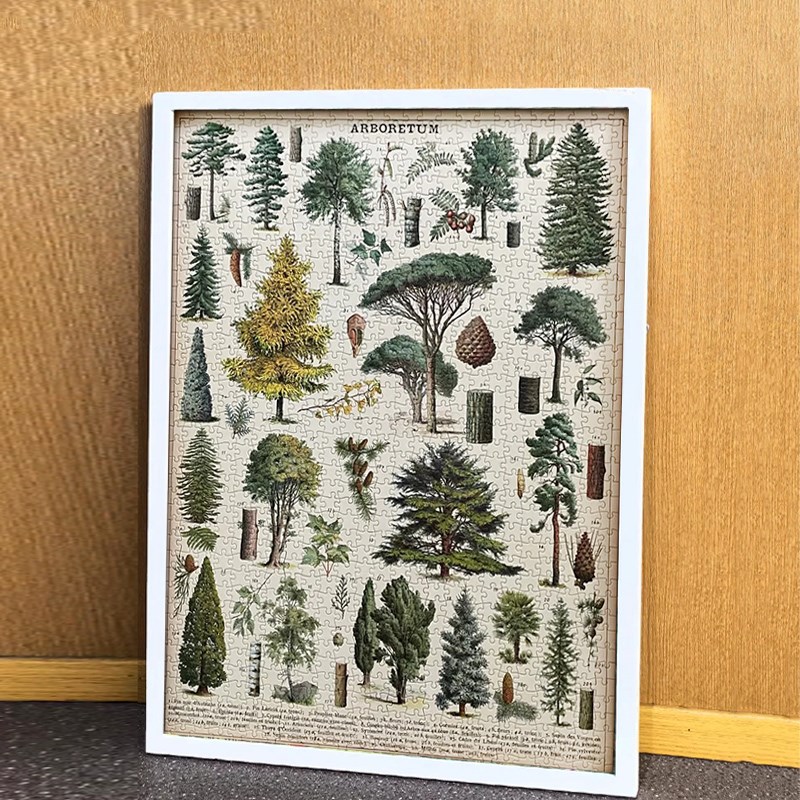 Cavallini植物花卉蝴蝶拼图框1000片500片架裱框70*55*35画框相框