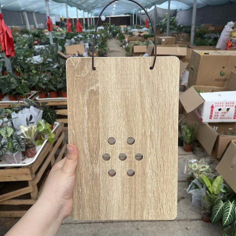 鹿角蕨种植板漆防腐挂板洞洞木板种植板背板图片