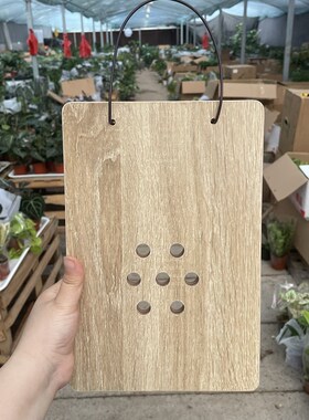 鹿角蕨种植板漆防腐挂板洞洞木板种植板背板