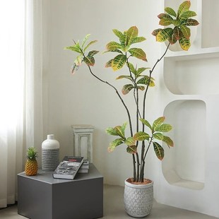 仿真洒金榕落地摆设假造景端软装酒店大厅仿生装饰