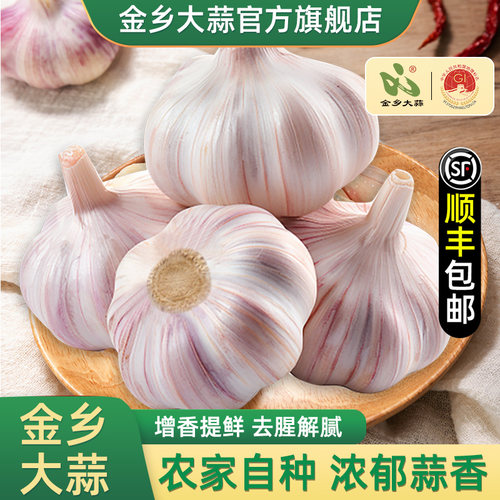 金乡大蒜官方旗舰店，今年新蒜，顺丰包邮