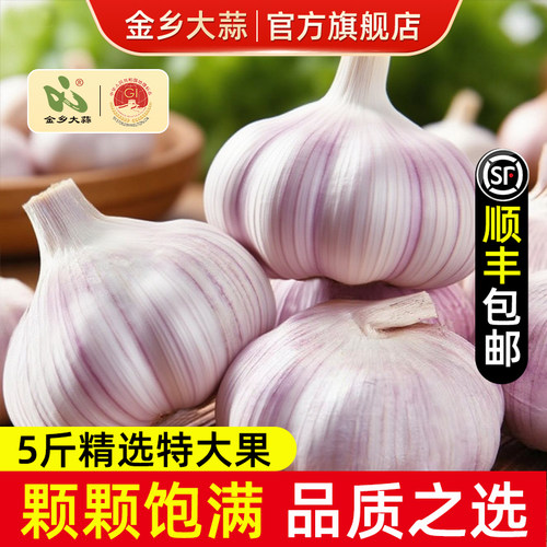 【顺丰速达】金乡大蒜5斤干蒜头