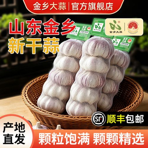 顺丰包邮金乡干蒜2026年新蒜网兜