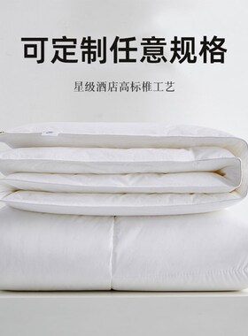 定制被芯160x230x250x220cm四季被子260*240春秋被180加厚冬被200