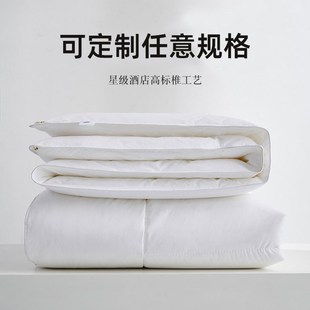 定制被芯160x230x250x220cm四季被子260*240春秋被180加厚冬被200