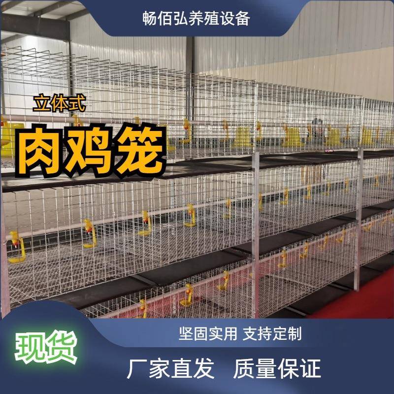 简易H式肉鸡笼层叠养鸡冷热镀锌丝加密养殖设备厂家直销现货
