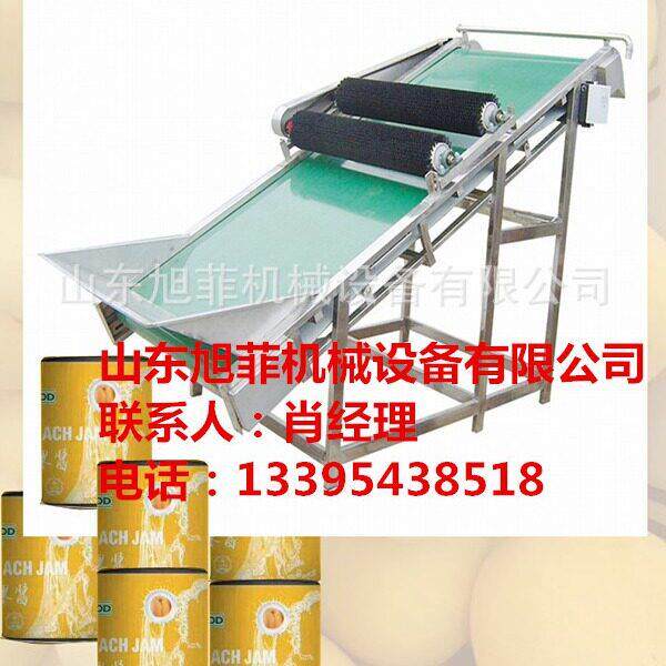 毛刷翻果提升机淋去皮机黄桃头加工设备
