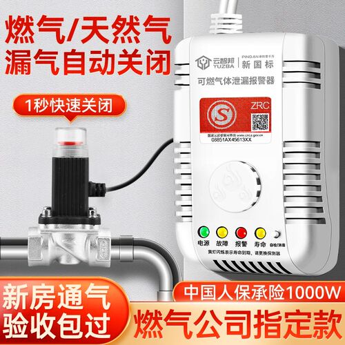 天然气燃气d报警器家用天燃气泄漏自动切断阀厨房漏气自闭阀断气