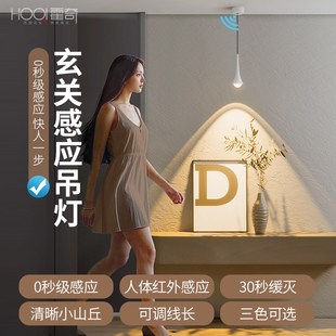 人体感应玄关小吊灯入户门单头水滴长线灯人来即亮小山丘氛围灯