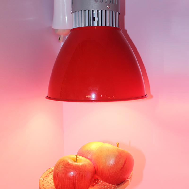 蔬菜水果led吊灯升降灯冷海鲜生肉灯超市熟食干货区伸缩灯具