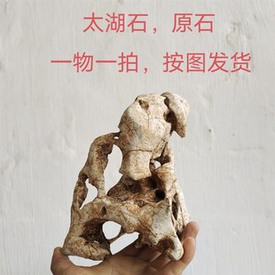 广西太湖石观赏灵壁石英石墨石玲珑石盆景附精品奇石天然