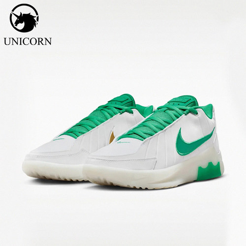 Nike/耐克正品LEBRON WITNESS IX EP男士经典篮球鞋HQ8035-101