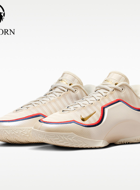 Nike/耐克正品JORDANLeBronXIEP詹姆斯经典男篮球鞋IB9563-103