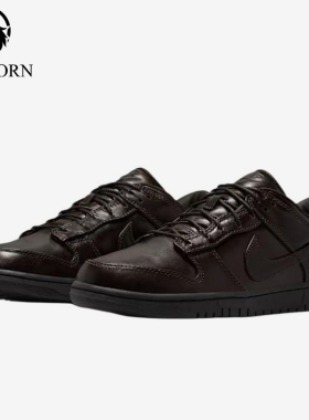 Nike/耐克正品DunkRetroPremium新款男棕黑色经典板鞋IQ3342-200