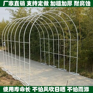 庭院爬藤架花园拱门铁艺爬藤花架月季 支架户外钢管葡萄架绿萝架子