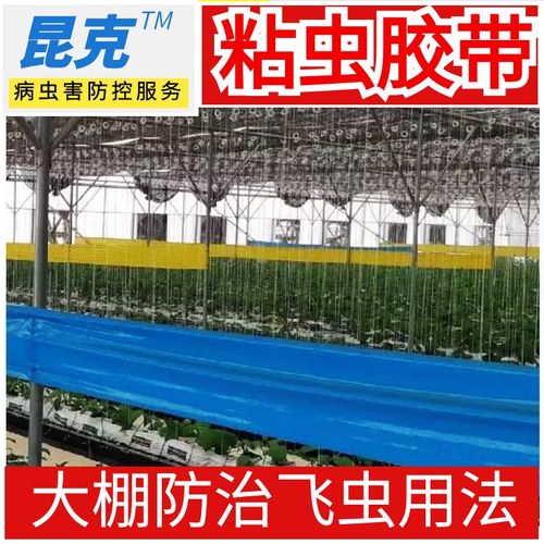 面防雨粘虫胶带果园大棚防虫诱虫带农用灭飞虫拦截爬虫黄蓝胶布