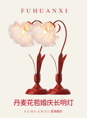高端长明灯陪嫁送新人礼物红色喜灯婚房布置结婚台灯卧室新娘婚礼