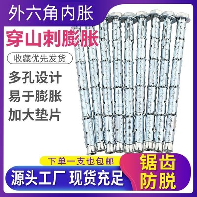 穿山刺膨胀螺丝大l全空心砖泡沫砖专用膨胀螺栓挂钩吊环鱼鳞膨胀