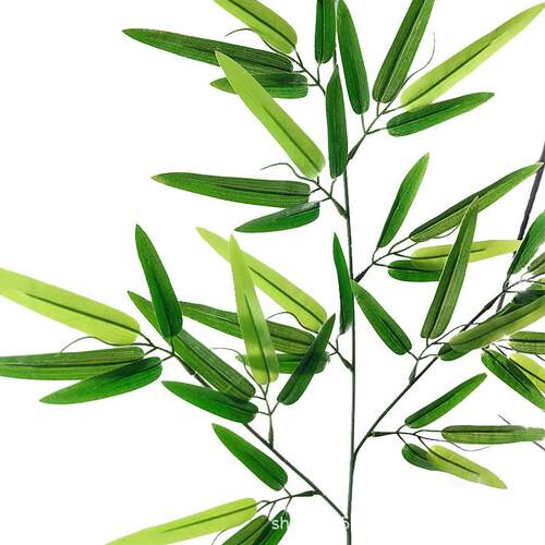 仿植物3叉D富贵竹叶过胶竹叶拍摄竹子背景111I墙工Y程装饰真摆设