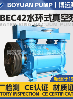 2BEC42水环式真空泵高抽气160hpa电厂专用工业负压抽真空设备博远