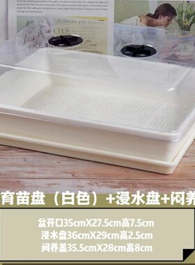 白色多肉育苗盘带盖加厚叶插播种器育苗托盘带盖透明盆黑方闷养箱