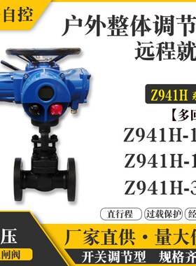 电动法兰闸阀高压高温电站160c锻钢阀门Z941H-100I铬钼钢dn32 50