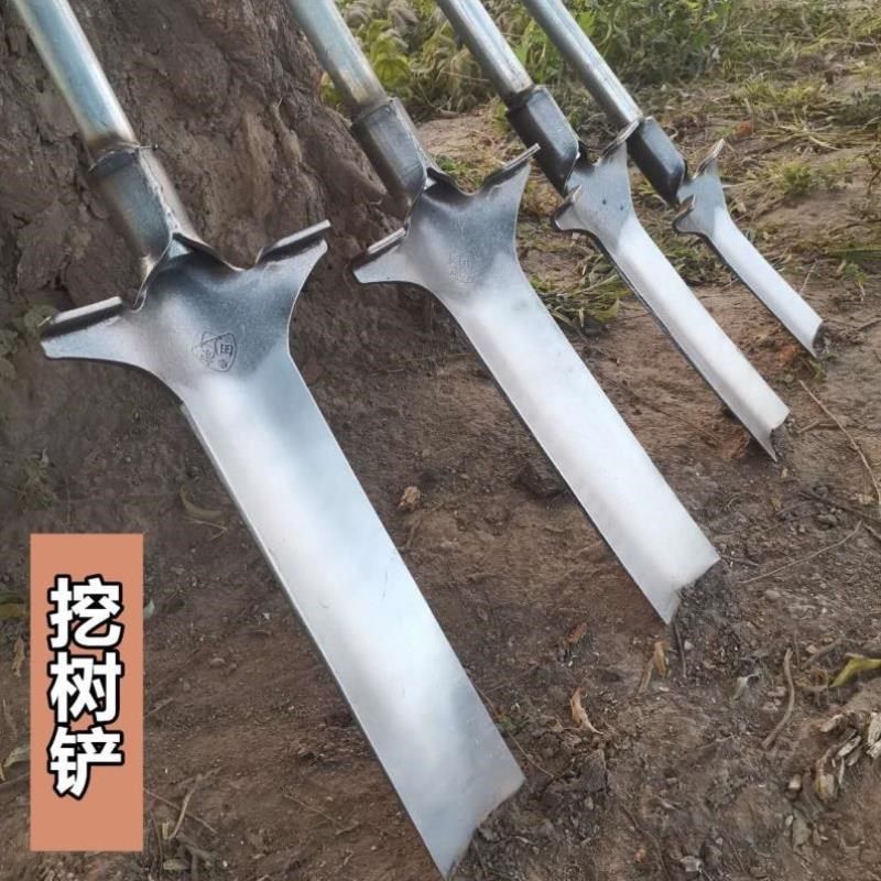 挖树铲子锰钢加厚挖树专用锹起苗断树根移苗神器农用铁锹园林工具,农机/农具/农膜,锹,淘宝优惠券,粉丝福利购,淘宝优惠卷