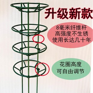 蟹爪兰植物多层i爬藤架三层花卉支架叶仙三角蟹爪莲嫁接花架子新