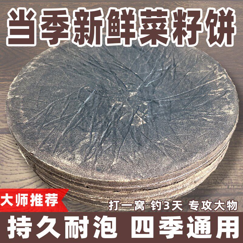 新鲜纯菜籽饼窝料江河湖库野钓打窝饵料钓鱼隔夜窝菜枯菜粕饼肥料