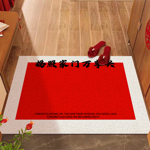 家用进门耐脏换鞋 丝圈地垫入户门垫20n23新款 垫大门口可裁剪防滑