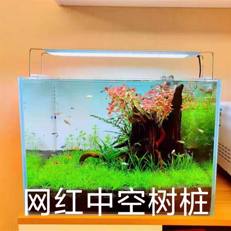 树桩沉木南美缸沉木鱼缸造景森林造景生命之树沉木骨架树桩空心树