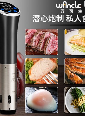德国Wnle低温慢煮机家用商用慢煮棒ouide牛扒宠物轻食料理棒