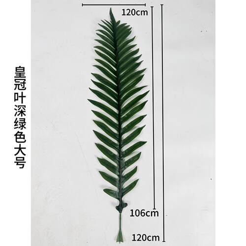 仿真人真植物子仿叶片皇叶冠叶仿真CY800133绿植配造件大号装饰背