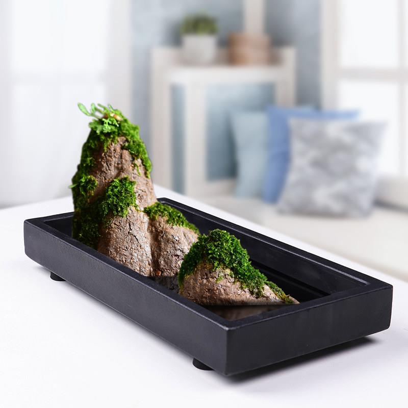 乌金石盆大型景观苔藓文竹菖蒲装饰盆景盆上水石假山创意室内桌面