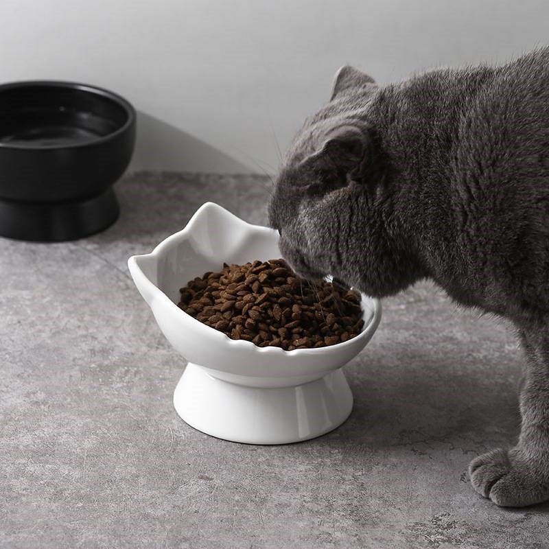 猫碗陶瓷釉下彩猫咪食盆狗碗宠物专用高脚斜口吃粮饮水黑色碗护颈
