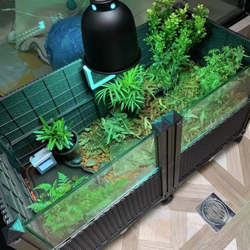 黄缘龟专用饲养缸乌龟缸造景陆龟养殖箱半水龟龟箱生态龟缸中型