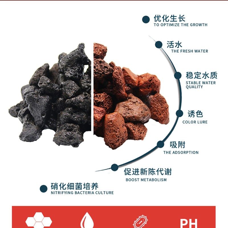 鱼缸天然活性火山石造景石火山岩细菌屋水族箱外置过滤材料,宠物/宠物食品及用品,过滤设备,淘宝优惠券,粉丝福利购,淘宝优惠卷