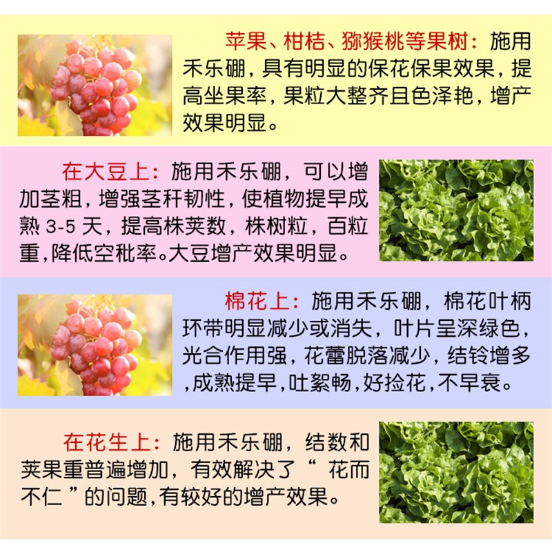 99%高纯硼肥速溶硼肥叶面肥微量元素农用保花R保果促花芽分化水溶