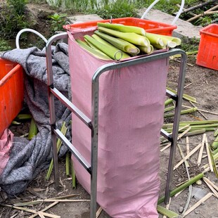 茭白笋打包支架*镀锌钢方管铁架子农用蛇皮编制袋撑口支架