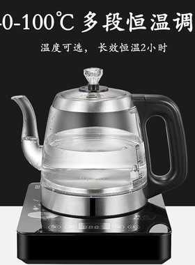 小型手把上水煮茶壶黑茶壶煮茶器家用全自动蒸汽喷淋式玻璃养生壶