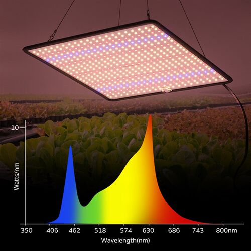 LED 灯珠 全光谱温室大棚室内卉绿植多肉补光生长灯