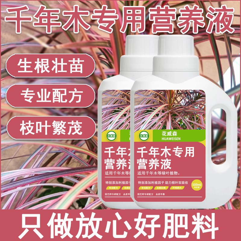 千年木专用营养液七彩千年木专用肥料盆栽绿植花卉马尾铁肥料浓缩