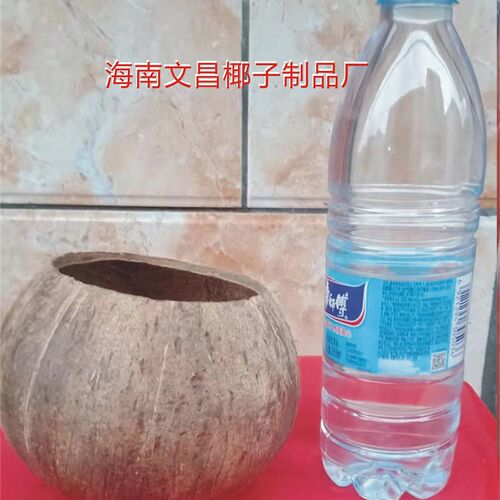 椰子壳老椰壳窝开口9粗面幼儿园学校创意diy灯具工艺品装饰品材料