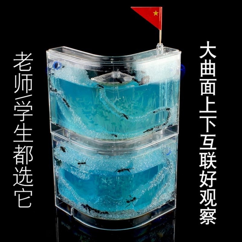 蚁后生态箱蚂蚁的地下王国工坊城堡巢穴大型庄园学生饲养殖盒子小