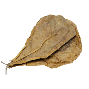 斗鱼原生缸水族天然榄仁叶降低鱼缸PH值降酸调节改善水质懒人叶